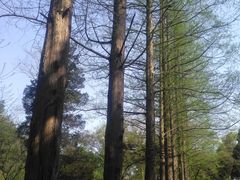 -敬亭山风景名胜区