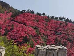 -木兰云雾山