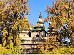 -北京石刻艺术博物馆(五塔寺)