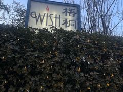 -梧桐