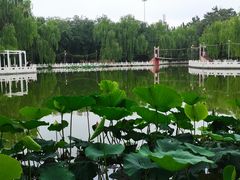 -丰台花园