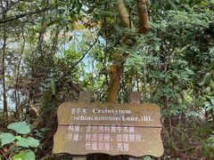 -广州市流溪河国家森林公园