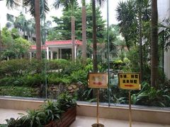 -龙山酒店温泉