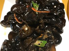 -素虎小呆鸟(西二旗店)