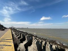 -上海滨江森林公园
