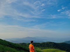 -大姆山草场