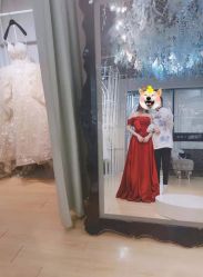 -韩国天使嫁衣婚纱礼服馆(上海旗舰店)