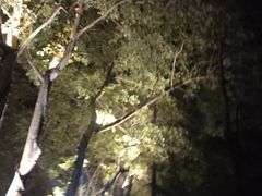 -苏堤停车场