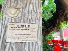 -浮来山风景区