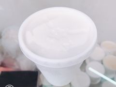 -洪馨椰子