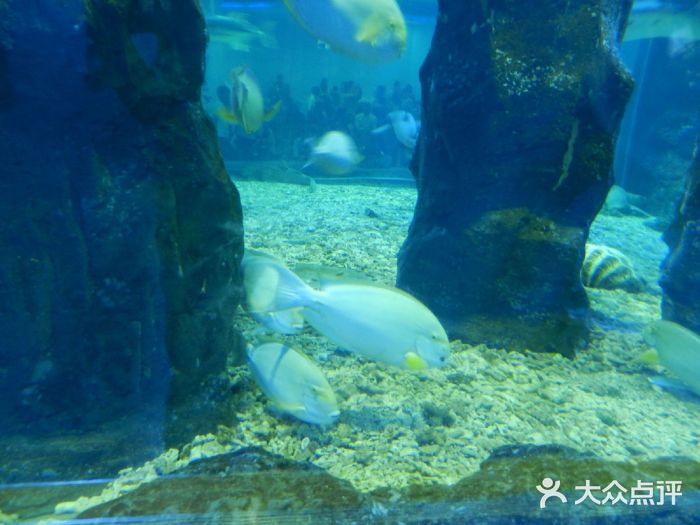 台州海洋世界图片