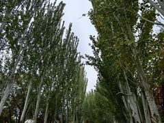 -红光山景区