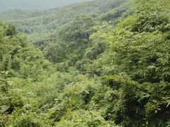 -亚婆田·白水寨生态旅游度假区