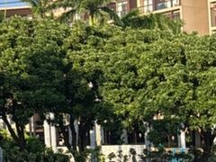 -三亚亚龙湾红树林度假酒店