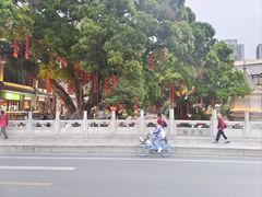 -荔湾湖公园