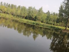 -东郊湿地公园