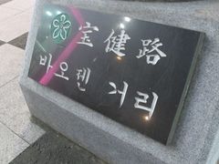 -宝健路步行街(Pedestrian Shopping Street)