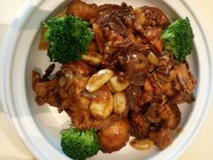 鲍鱼烧鸡-张生记(丁香国际店)