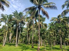 -中国科学院西双版纳热带植物园