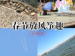 -天津金海湖