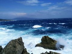 -龙坑生态保护区