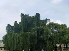 -上海月湖雕塑公园