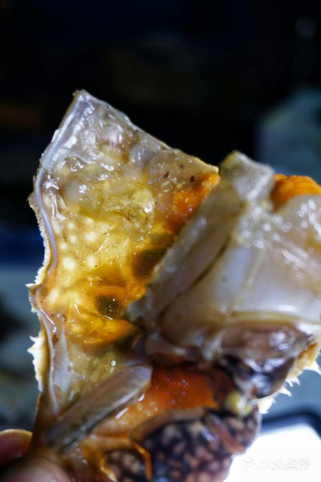 渔娘渔家丹东海鲜(东直门店)图片