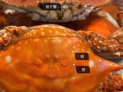 -蟹谢蒸鲜自助餐厅