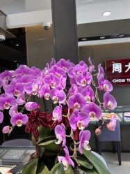 -周大福CHOW TAI FOOK(金汇广场珠宝店)