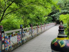 -西双版纳原始森林公园