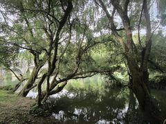 -贵阳市花溪国家城市湿地公园