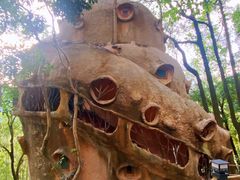 -天门沟九州驿站树上汤泉