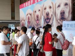 -天幕新彩云国际影城(激光巨幕店)