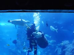 -左海海底世界