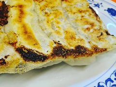 烧饺子-拉面莊夢語＆中华料理八椿