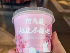 -大鸭梨烤鸭(金色漫香店)