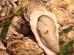 -千岛蚝高压锅生蚝·人参火锅(白云万达店)