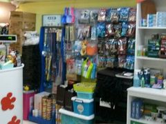 android_upload_pic-爱宠屋pet shop·宠物洗澡·宠物美容