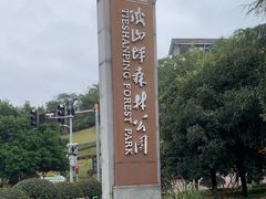 -铁山坪森林公园