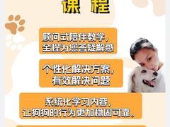 -多乐狗狗宠物训练工作室