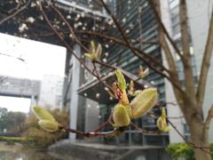 -同济大学(嘉定校区)