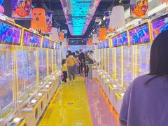 -风云再起游乐汇(北京西单西西友谊店)