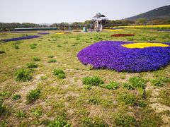 -苏州太湖西山岛开心农场