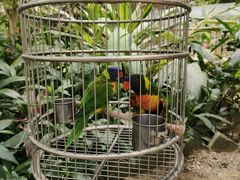 -南宫五洲植物乐园