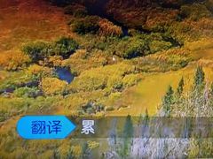 -谜·沉浸侦探剧本杀推理馆(静安店)