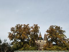 -北京石刻艺术博物馆(五塔寺)