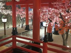 -蓝鲸湾汤泉(包河店)