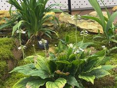 -国家植物园南园