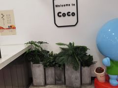 -CoCo都可(北美店)