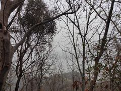 -采石矶景区
